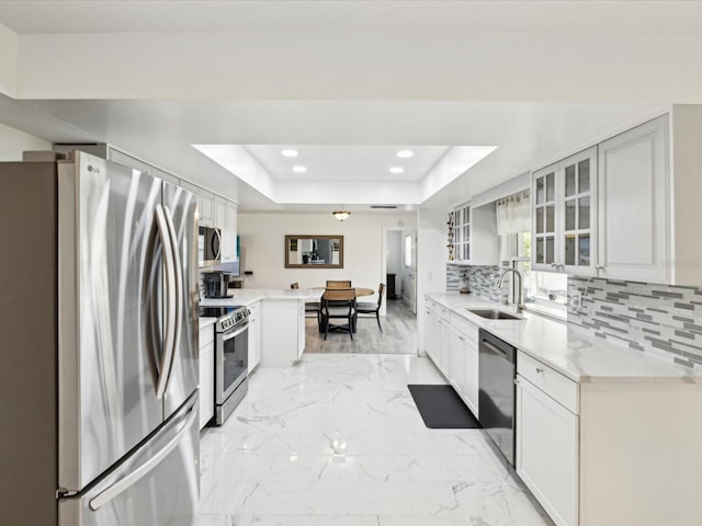 1666 N Dakota Ave NE, Saint Petersburg, FL 33703 - kitchen featuring a tray ceiling, a sink, tasteful backsplash, glass insert cabinets, and stainless steel appliances