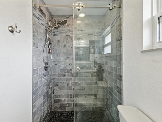 1666 N Dakota Ave NE, Saint Petersburg, FL 33703 - full bathroom with toilet and a shower stall