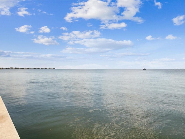 1666 N Dakota Ave NE, Saint Petersburg, FL 33703 - water view