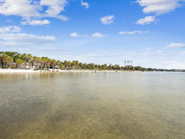 1666 N Dakota Ave NE, Saint Petersburg, FL 33703 - view of water feature