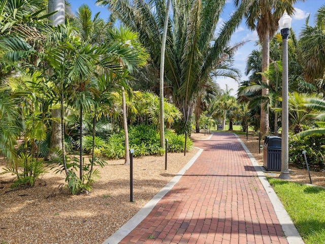1666 N Dakota Ave NE, Saint Petersburg, FL 33703 - view of home's community