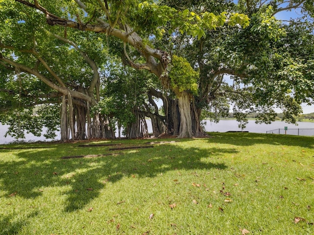 1666 N Dakota Ave NE, Saint Petersburg, FL 33703 - view of yard featuring a water view