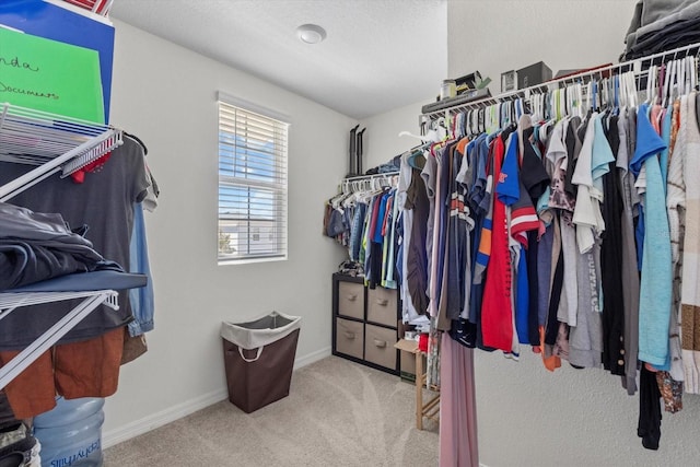 spacious closet featuring carpet floors