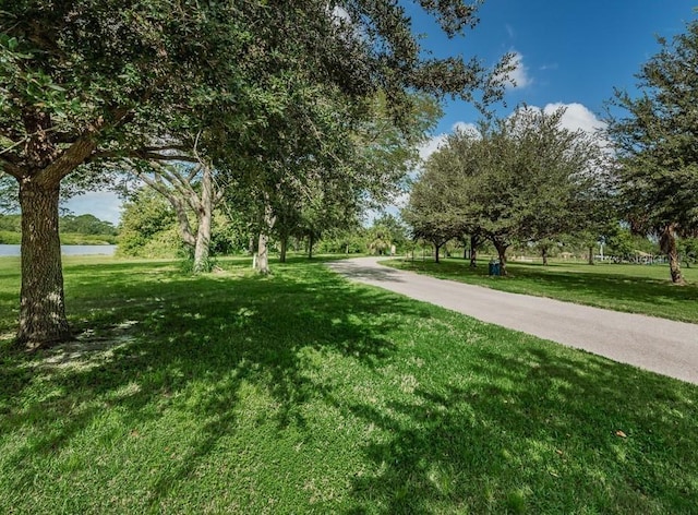 704 Lemonwood Dr, Oldsmar, FL 34677 - photo 46