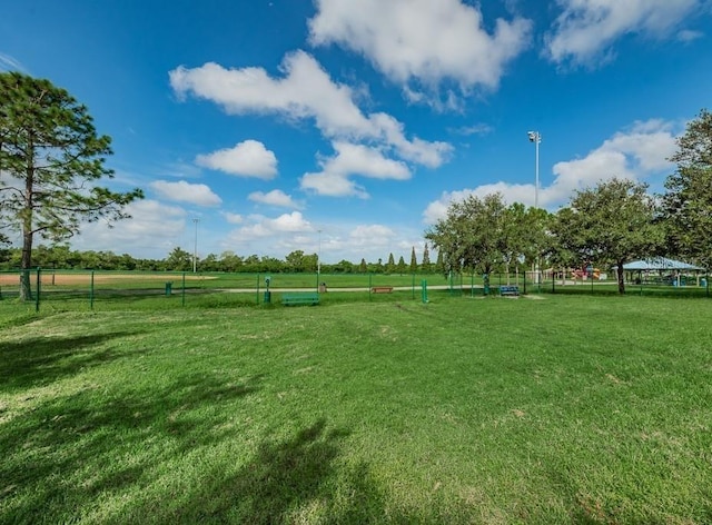 704 Lemonwood Dr, Oldsmar, FL 34677 - photo 43