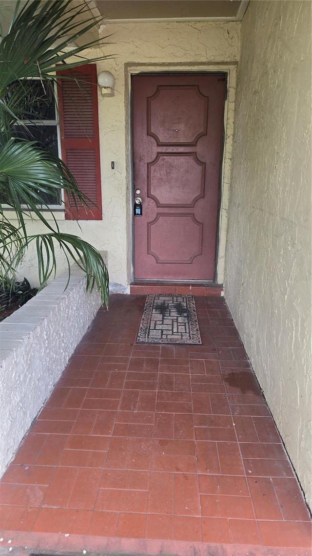 704 Lemonwood Dr, Oldsmar, FL 34677 - photo 4