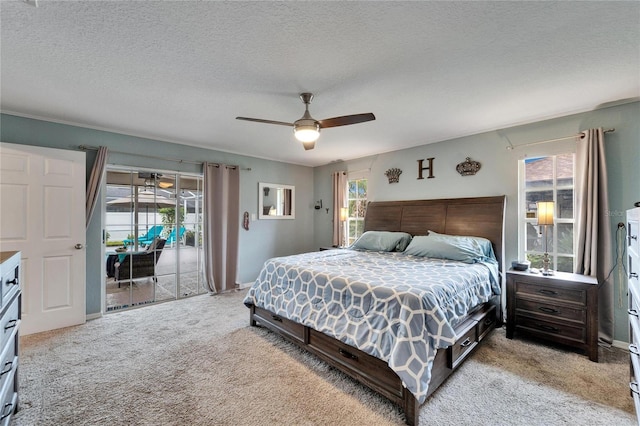 bedroom featuring multiple windows, access to exterior, light colored carpet, and a textured ceiling