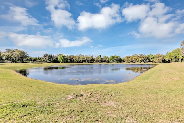 1919 Blissful Dr, Kissimmee, FL 34744 - view of water feature