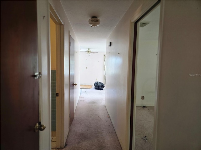 hallway with carpet flooring