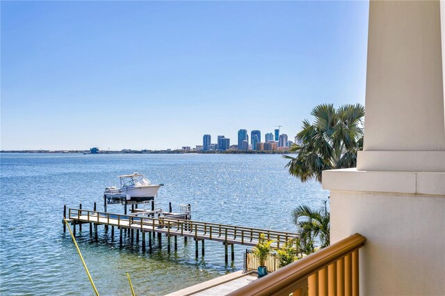 1695 Brightwaters Blvd NE, Saint Petersburg, FL 33704 - photo 68