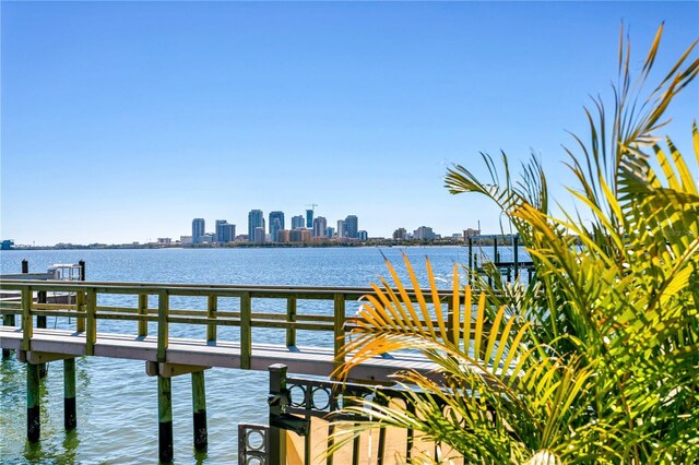 1695 Brightwaters Blvd NE, Saint Petersburg, FL 33704 - photo 31