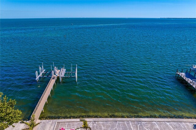 1695 Brightwaters Blvd NE, Saint Petersburg, FL 33704 - photo 87