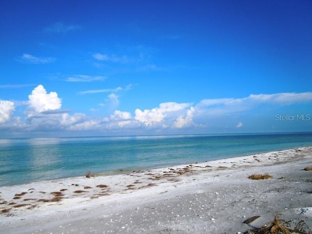 water view featuring a beach view