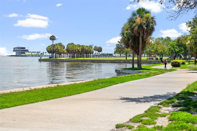 907 Arlington Ave N, Saint Petersburg, FL 33705 - water view