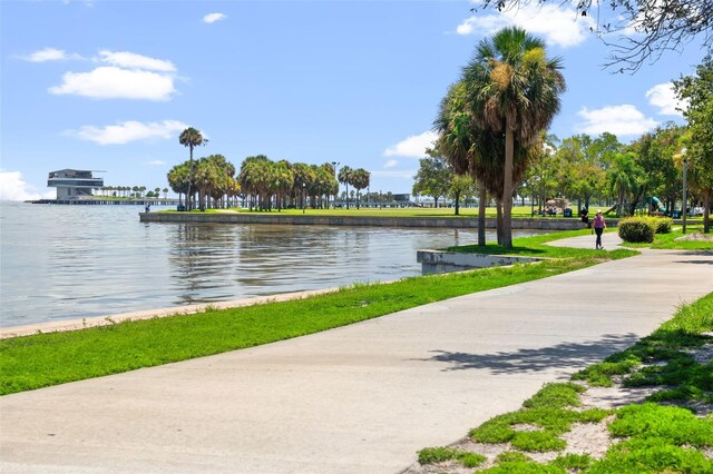 907 Arlington Ave N, Saint Petersburg, FL 33705 - photo 43