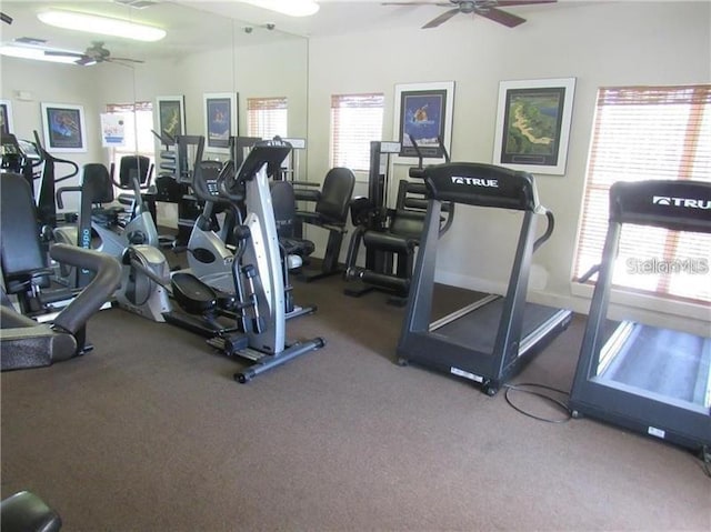 4107 Chatham Oak Ct Unit 326, Tampa, FL 33624 - photo 18