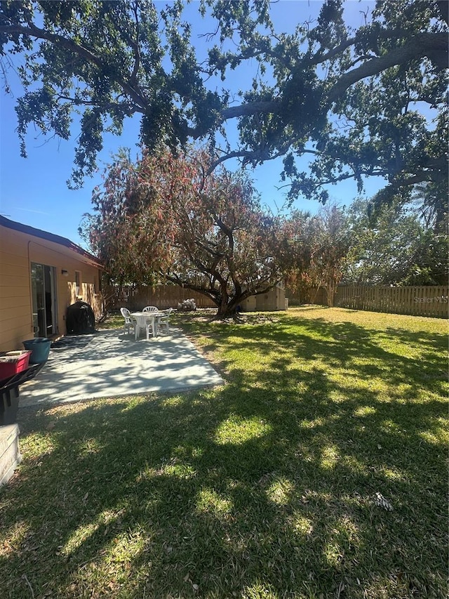 view of yard featuring a fenced backyard and a patio area