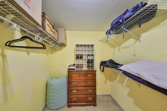 walk in closet with light carpet