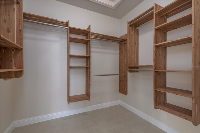 19123 Sunset Bay Dr, Land O Lakes, FL 34638 - view of spacious closet