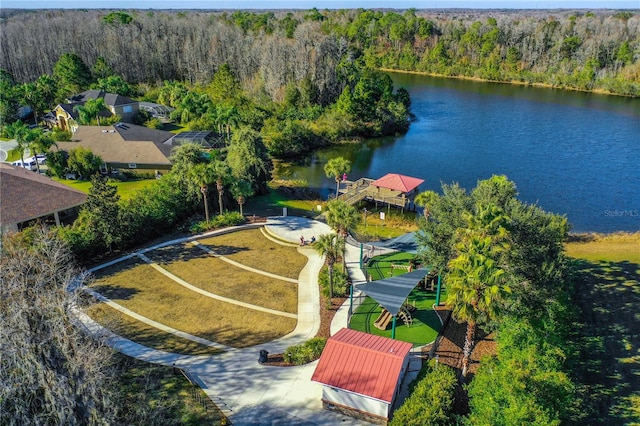 19123 Sunset Bay Dr, Land O Lakes, FL 34638 - drone / aerial view featuring a water view and a wooded view