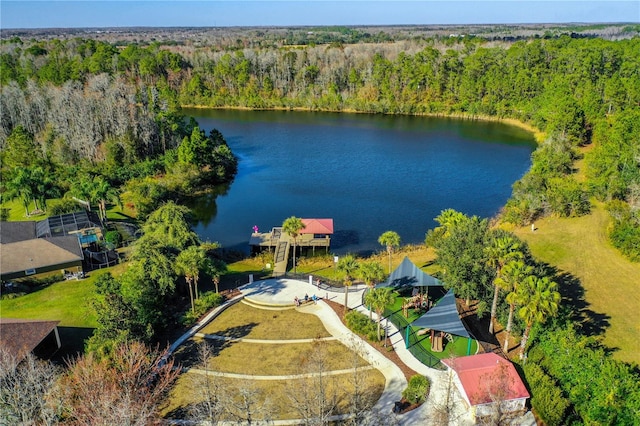 19123 Sunset Bay Dr, Land O Lakes, FL 34638 - bird's eye view with a water view and a wooded view