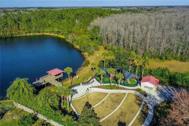19123 Sunset Bay Dr, Land O Lakes, FL 34638 - aerial view with a water view and a wooded view