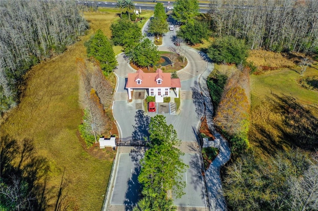 19123 Sunset Bay Dr, Land O Lakes, FL 34638 - aerial view