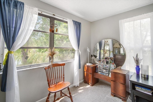 5050 68th Way N, Saint Petersburg, FL 33709 - sitting room with carpet flooring, a textured ceiling, and baseboards
