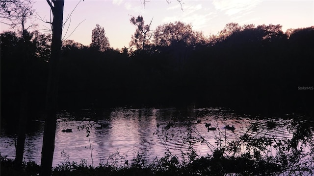 5050 68th Way N, Saint Petersburg, FL 33709 - view of local wilderness with a water view