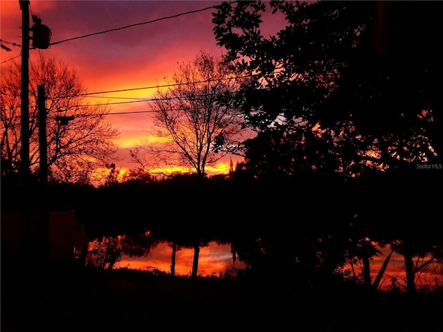 5050 68th Way N, Saint Petersburg, FL 33709 - view of nature at dusk