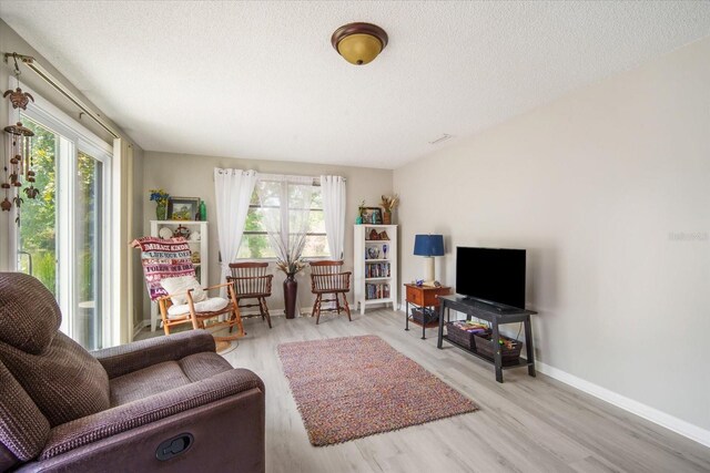 5050 68th Way N, Saint Petersburg, FL 33709 - living room featuring plenty of natural light, wood finished floors, and a textured ceiling