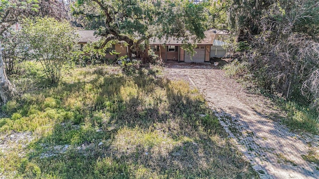 view of yard featuring decorative driveway