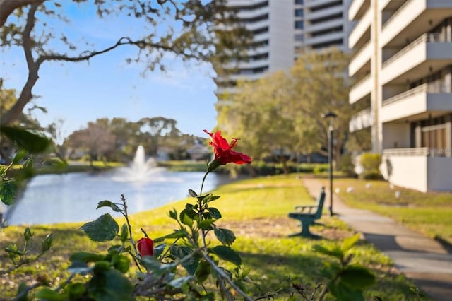 5950 Pelican Bay Plz S Unit 603, Gulfport, FL 33707