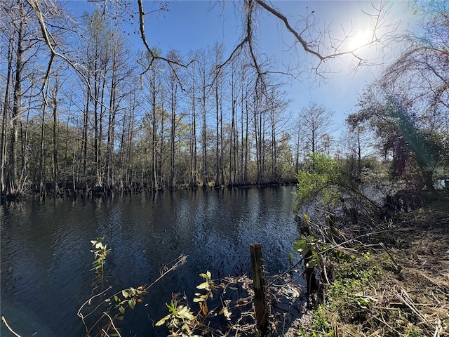 10500 E Gobbler Dr, Floral City, FL 34436