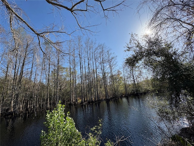 10500 E Gobbler Dr, Floral City, FL 34436