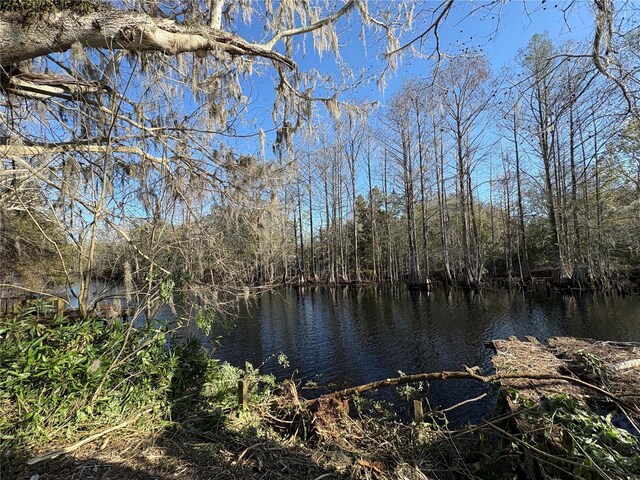 10500 E Gobbler Dr, Floral City, FL 34436