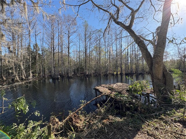 10500 E Gobbler Dr, Floral City, FL 34436