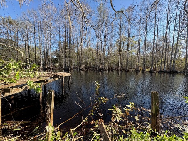 10500 E Gobbler Dr, Floral City, FL 34436
