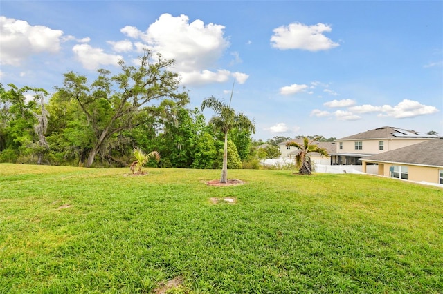 6882 Silverado Ranch Blvd, Zephyrhills, FL 33541 - view of yard