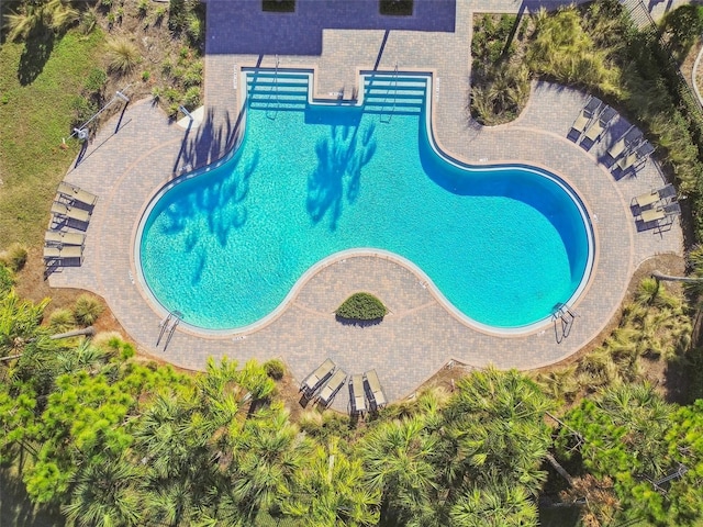 6882 Silverado Ranch Blvd, Zephyrhills, FL 33541 - view of pool