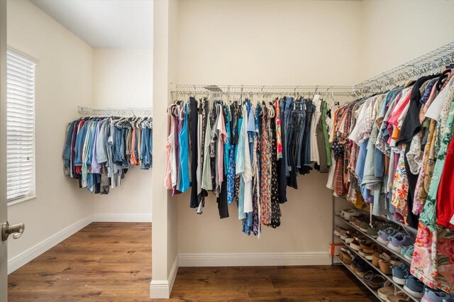 11109 Great Neck Rd, Riverview, FL 33578 - spacious closet featuring wood finished floors