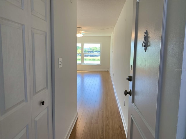 1655 S Highland Ave Unit I286, Clearwater, FL 33756 - hall featuring baseboards and wood finished floors
