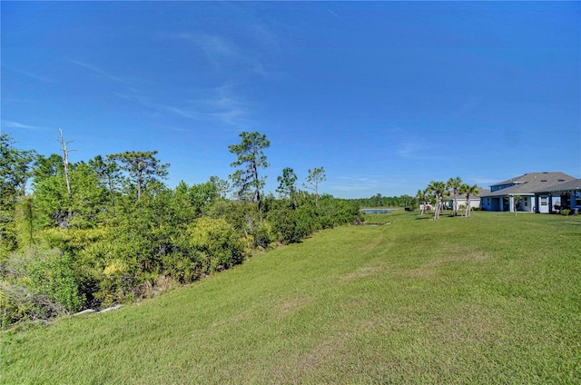 5325 Thistle Field Ct, Wesley Chapel, FL 33545 - photo 56