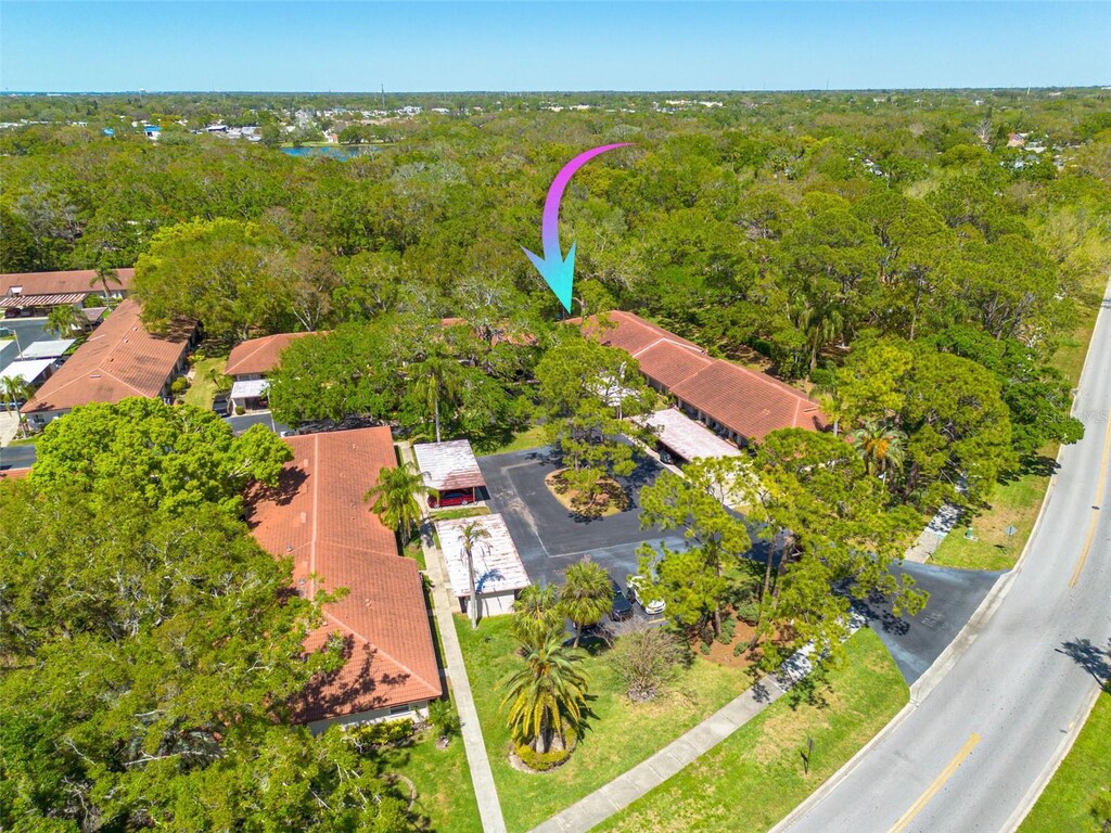 1201 Montrose Pl, Dunedin, FL 34698 - aerial view featuring a wooded view