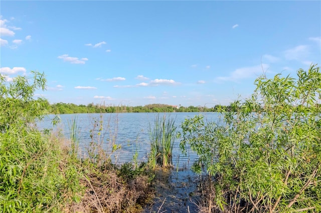 2837 Bayshore Trails Dr, Tampa, FL 33611 - photo 27