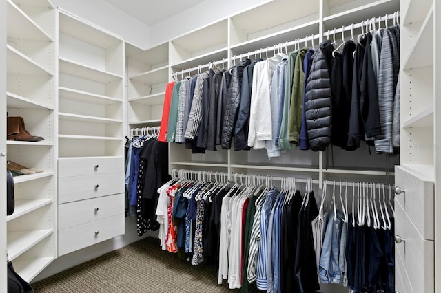47 Martinique Ave, Tampa, FL 33606 - walk in closet with carpet floors