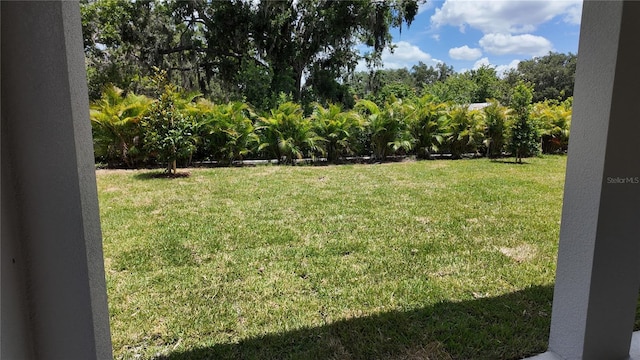 11884 Richmond Trl, Parrish, FL 34219 - view of green lawn