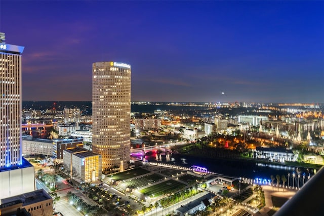 777 N Ashley Dr Unit 2610, Tampa, FL 33602 - property's view of city