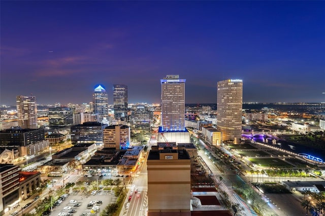 777 N Ashley Dr Unit 2610, Tampa, FL 33602 - property's view of city