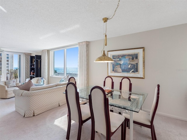 carpeted dining space featuring a textured ceiling and a water view